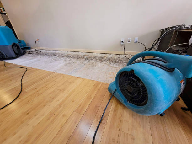 Professional Emergency Water Damage technician working in Ft Mitchell, KY